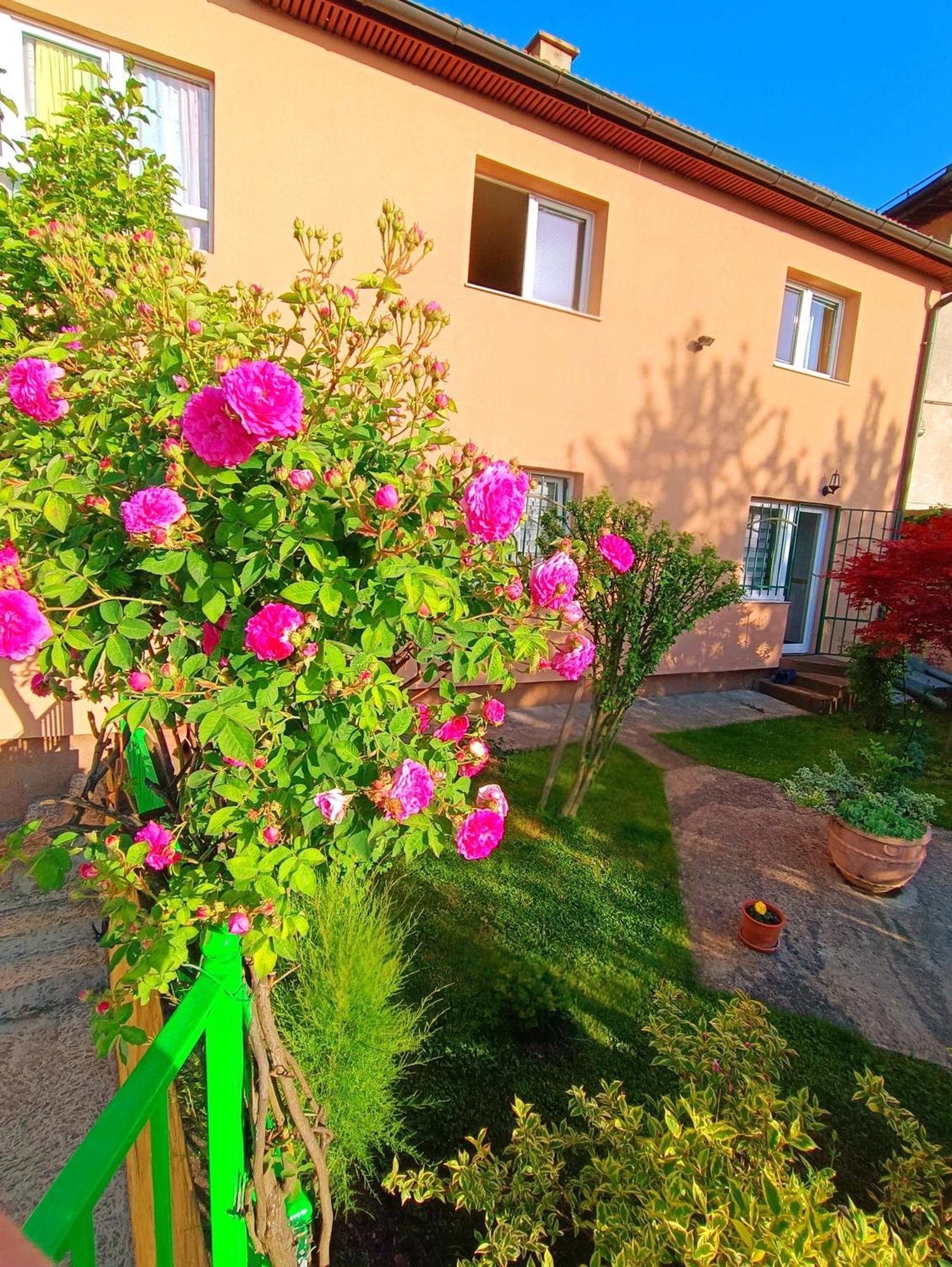 Appartement Garden Free Parking à SJJ Extérieur photo