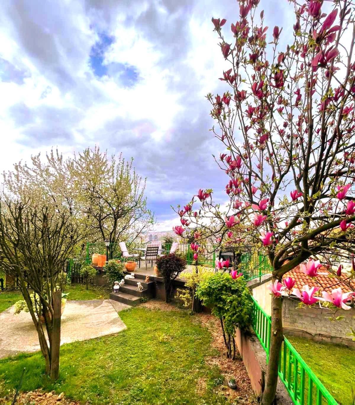 Appartement Garden Free Parking à SJJ Extérieur photo